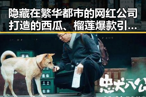 隐藏在繁华都市的网红公司打造的西瓜、榴莲爆款引发吃瓜热潮
