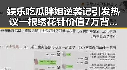 娱乐吃瓜胖姐逆袭记引发热议一根绣花针价值7万背后隐藏的故事