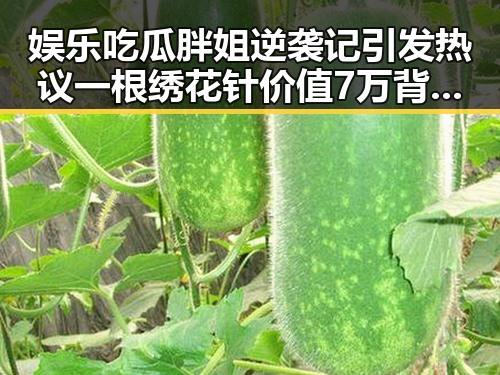 娱乐吃瓜胖姐逆袭记引发热议一根绣花针价值7万背后隐藏的故事